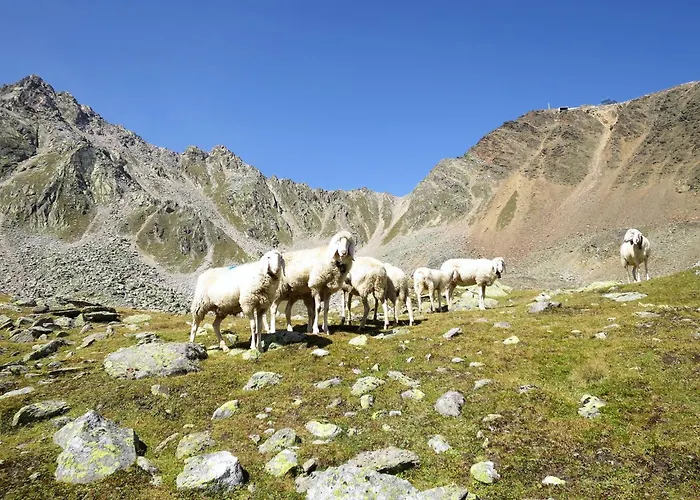 Alpin-6 By Interhome